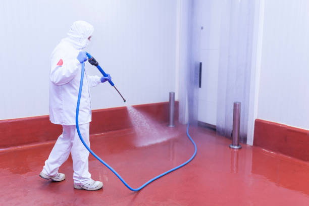 Best Factory Floor Cleaning  in Newberry, MI