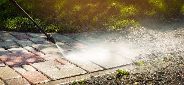 Best Patio and Deck Pressure Washing  in Newberry, MI